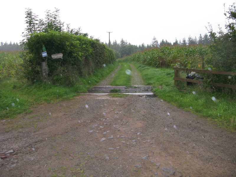 Rodgemonts Driveway in the Rain