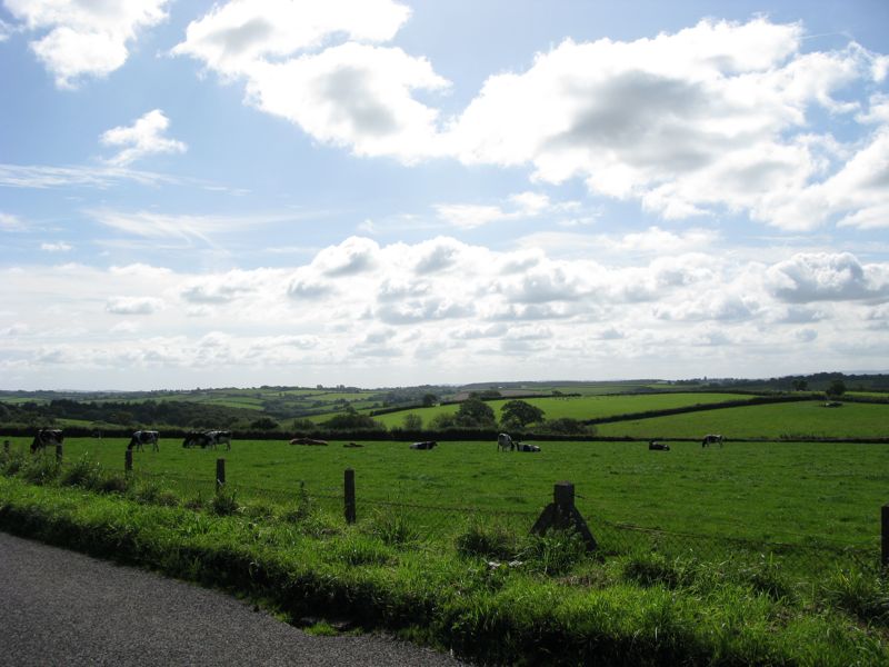 A Gorgeous Day in Devon