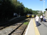 Tarka Trains Meet at Eggesford