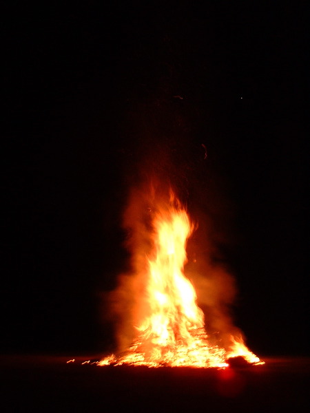 treeburn.JPG