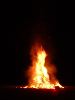 treeburn.JPG