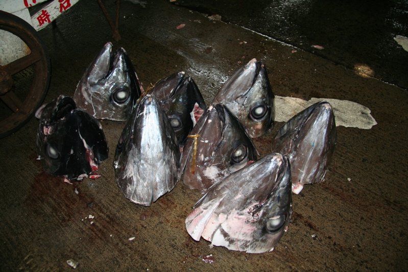 Tskiji Fish Market